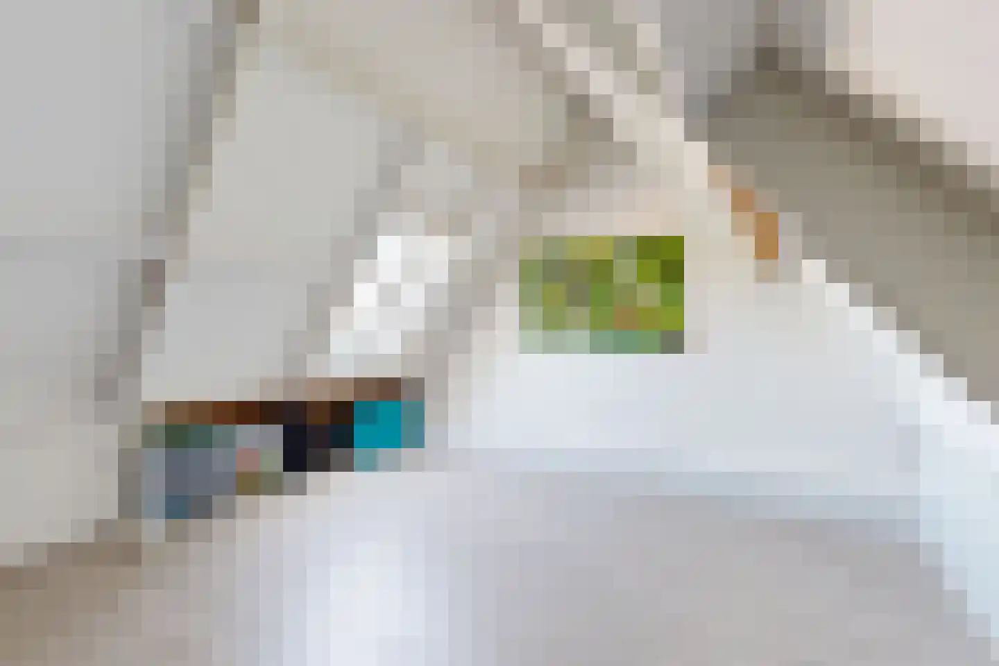 Troelstrastraat 4 Dinteloord thumbnail 42