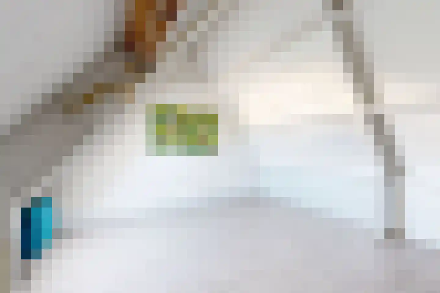 Troelstrastraat 4 Dinteloord thumbnail 43