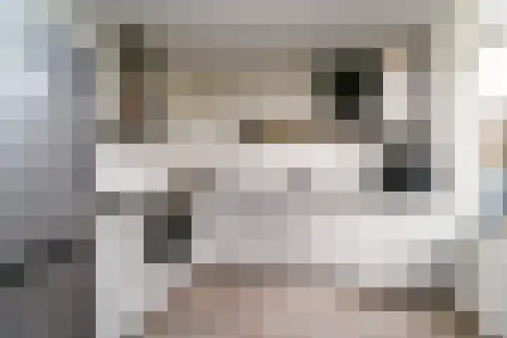 Troelstrastraat 40 Alblasserdam thumbnail 4