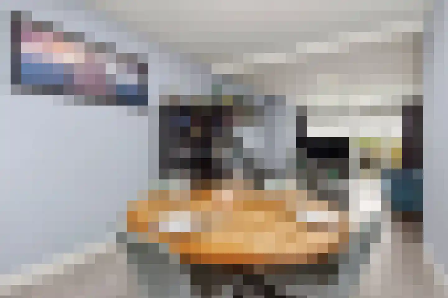 Troelstrastraat 40 Maarssen thumbnail 11