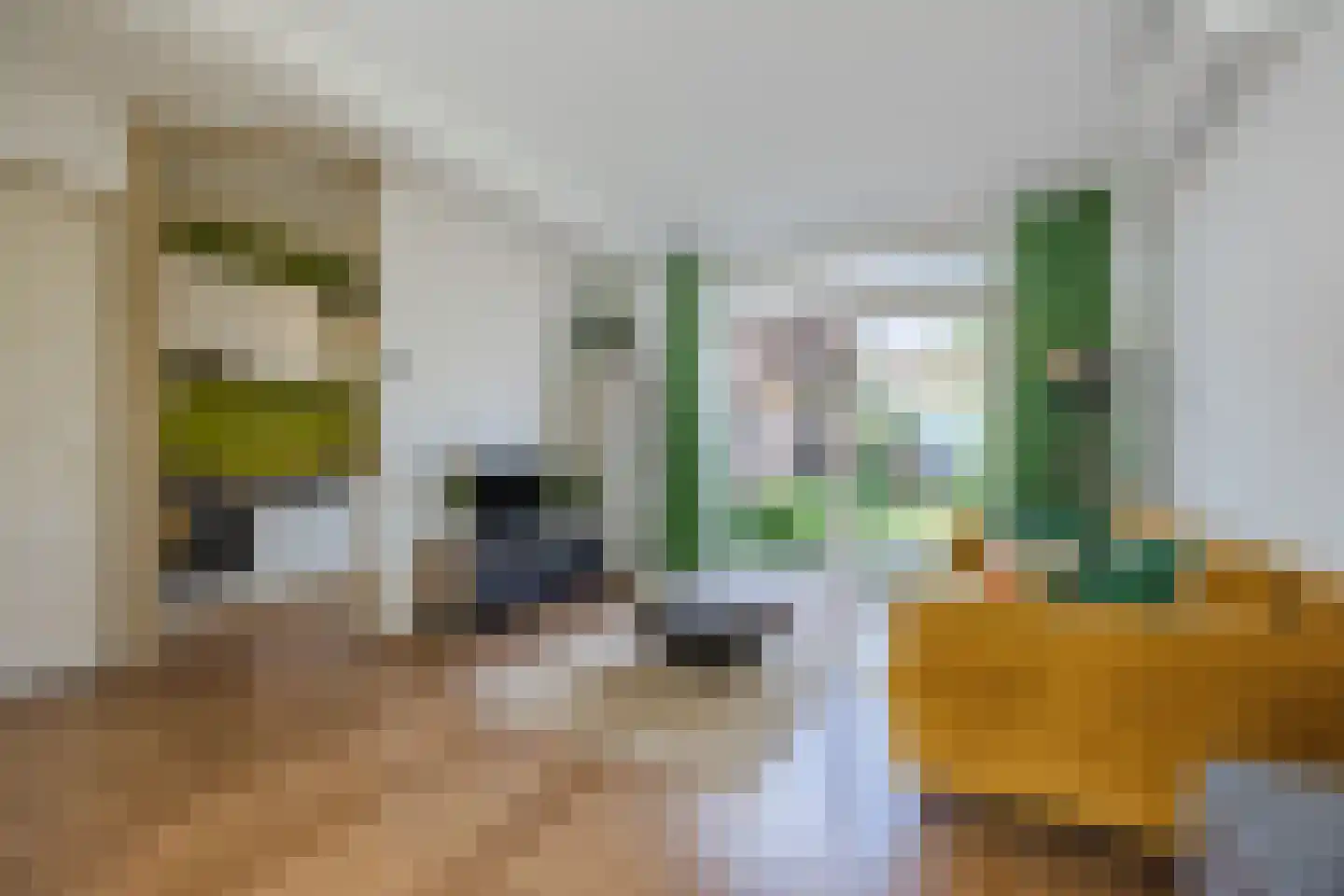 Troelstrastraat 46 Breda thumbnail 4