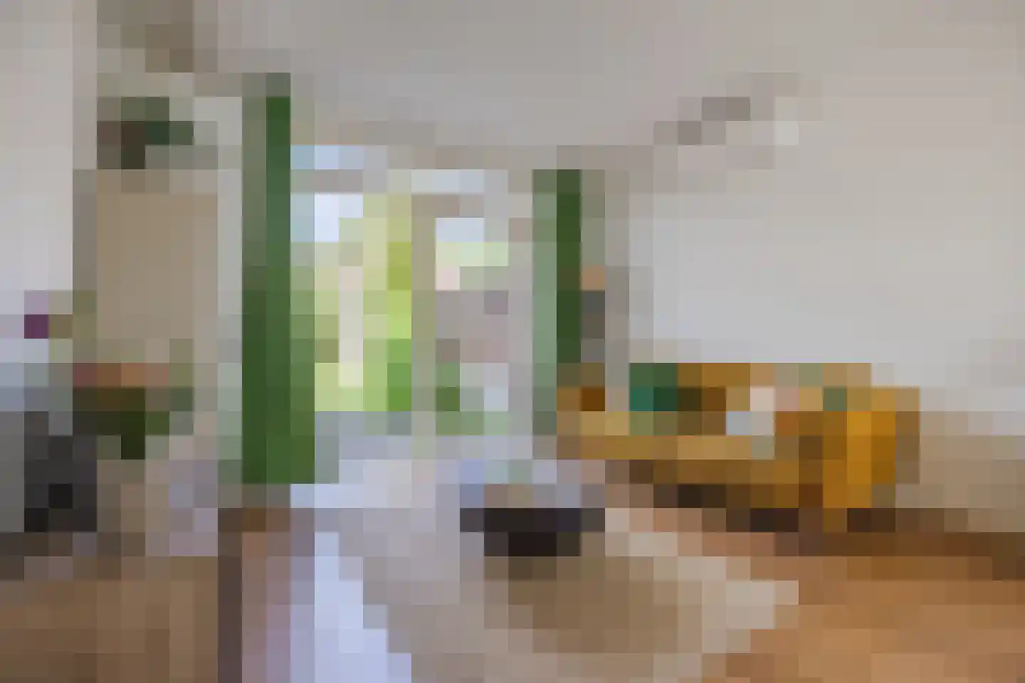 Troelstrastraat 46 Breda thumbnail 5