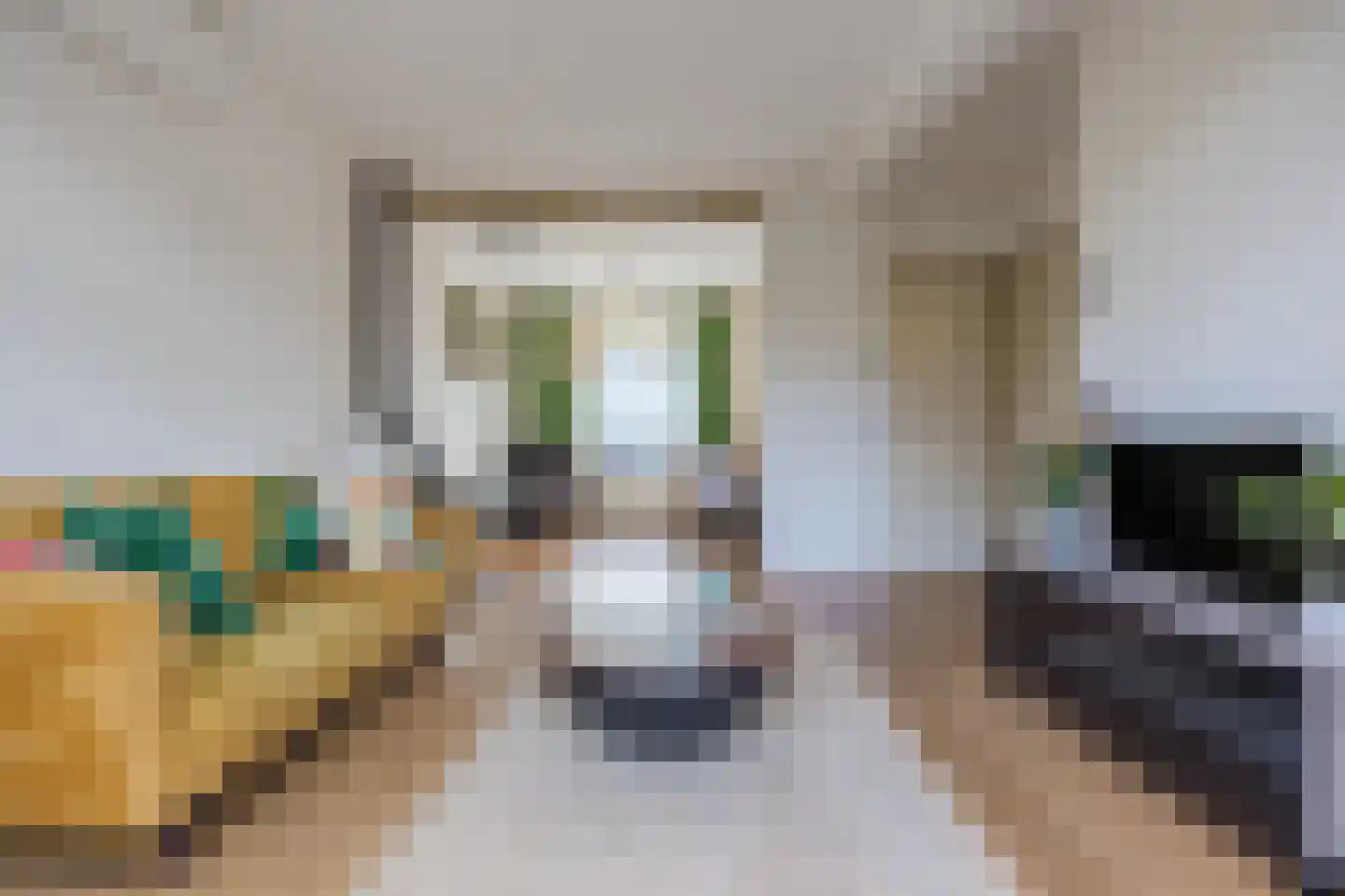 Troelstrastraat 46 Breda thumbnail 6