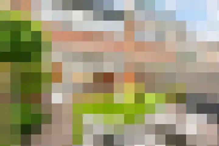 Troelstrastraat 5 Maarssen thumbnail 29