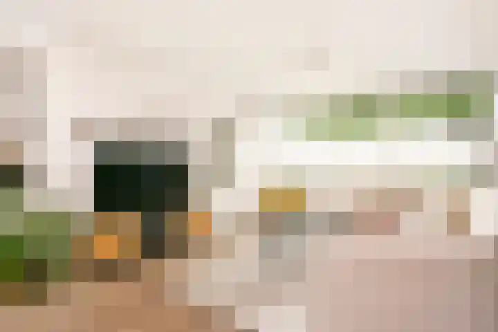 Troelstrastraat 5 Maarssen thumbnail 8