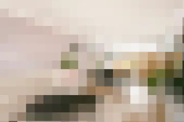 Troelstrastraat 5 Maarssen thumbnail 9
