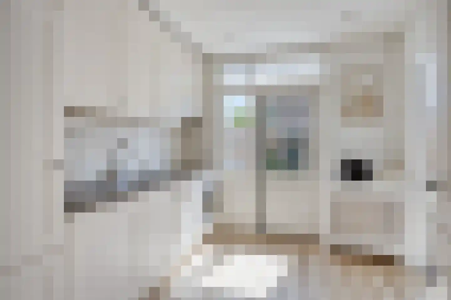 Troelstrastraat 60 Alblasserdam thumbnail 14