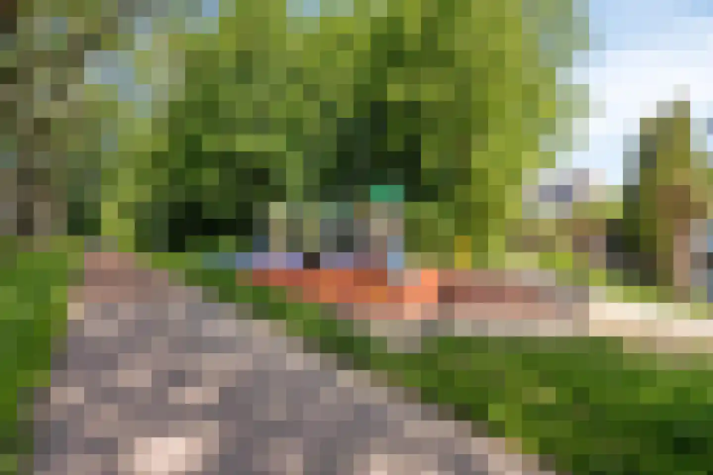Troelstrastraat 60 Alblasserdam thumbnail 32