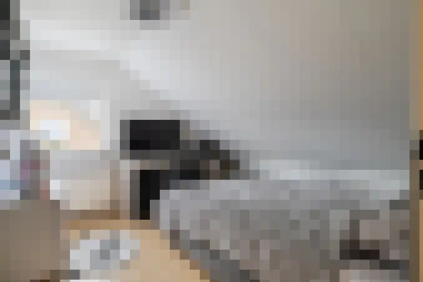 Troelstrastraat 7 Veenoord thumbnail 18
