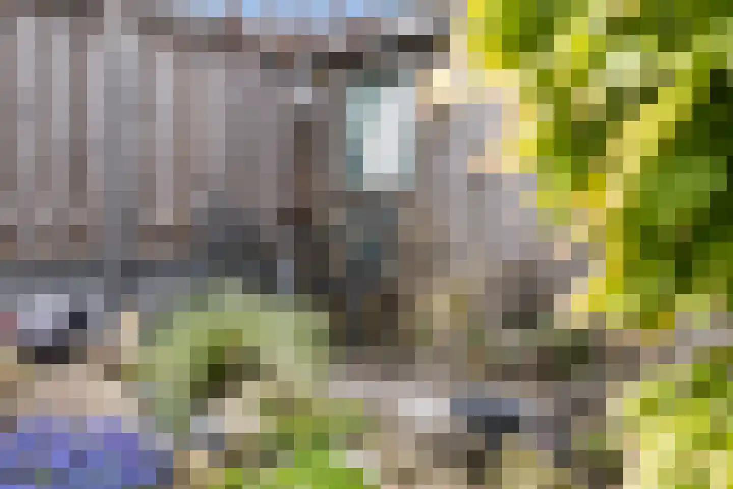 Troelstrastraat 7 Veenoord thumbnail 24