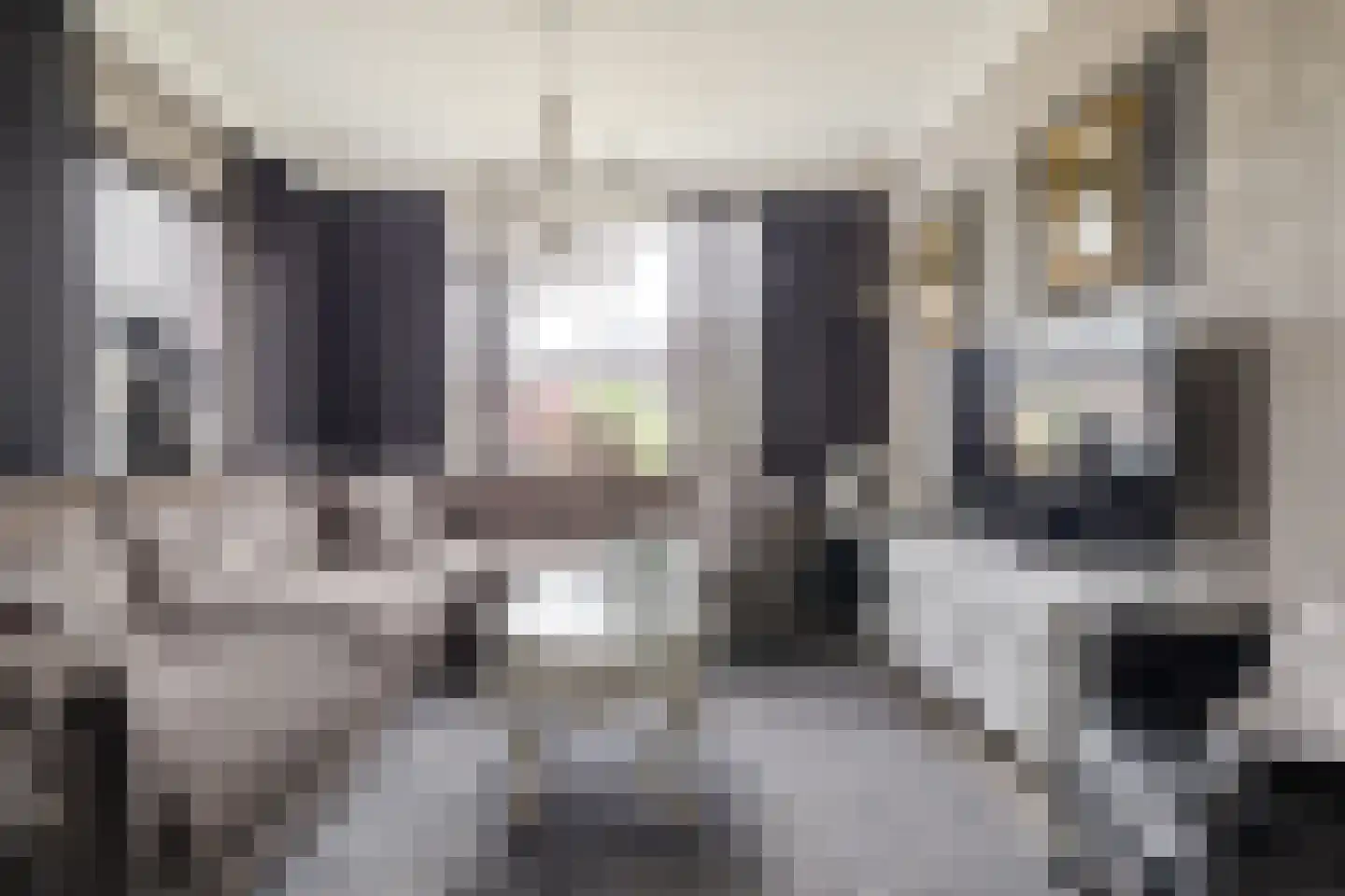 Troelstrastraat 7 Veenoord thumbnail 5