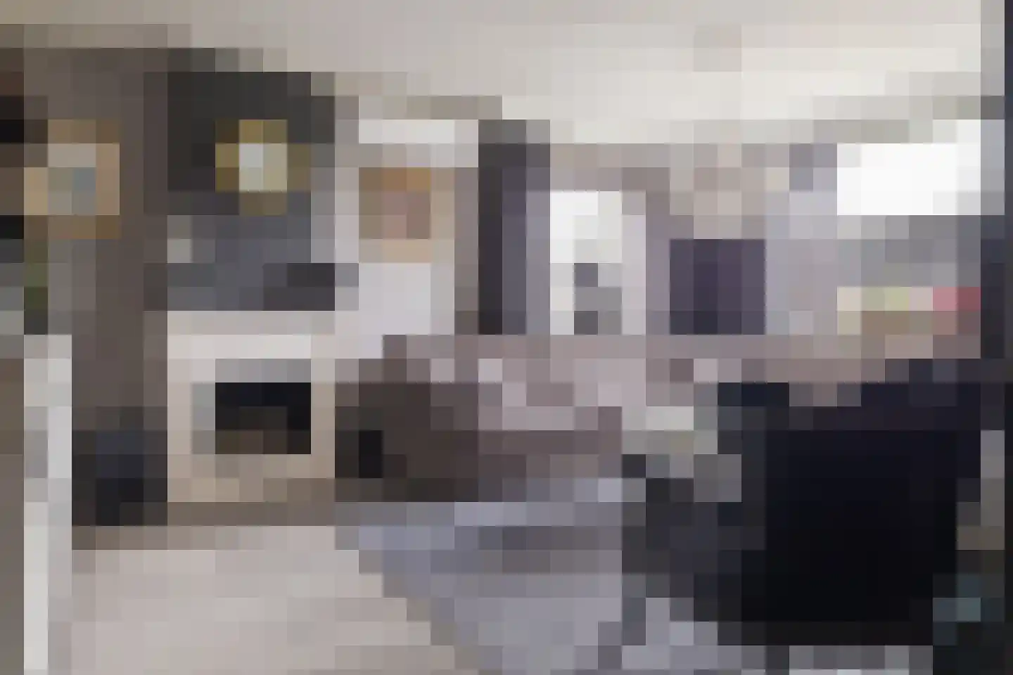 Troelstrastraat 7 Veenoord thumbnail 6