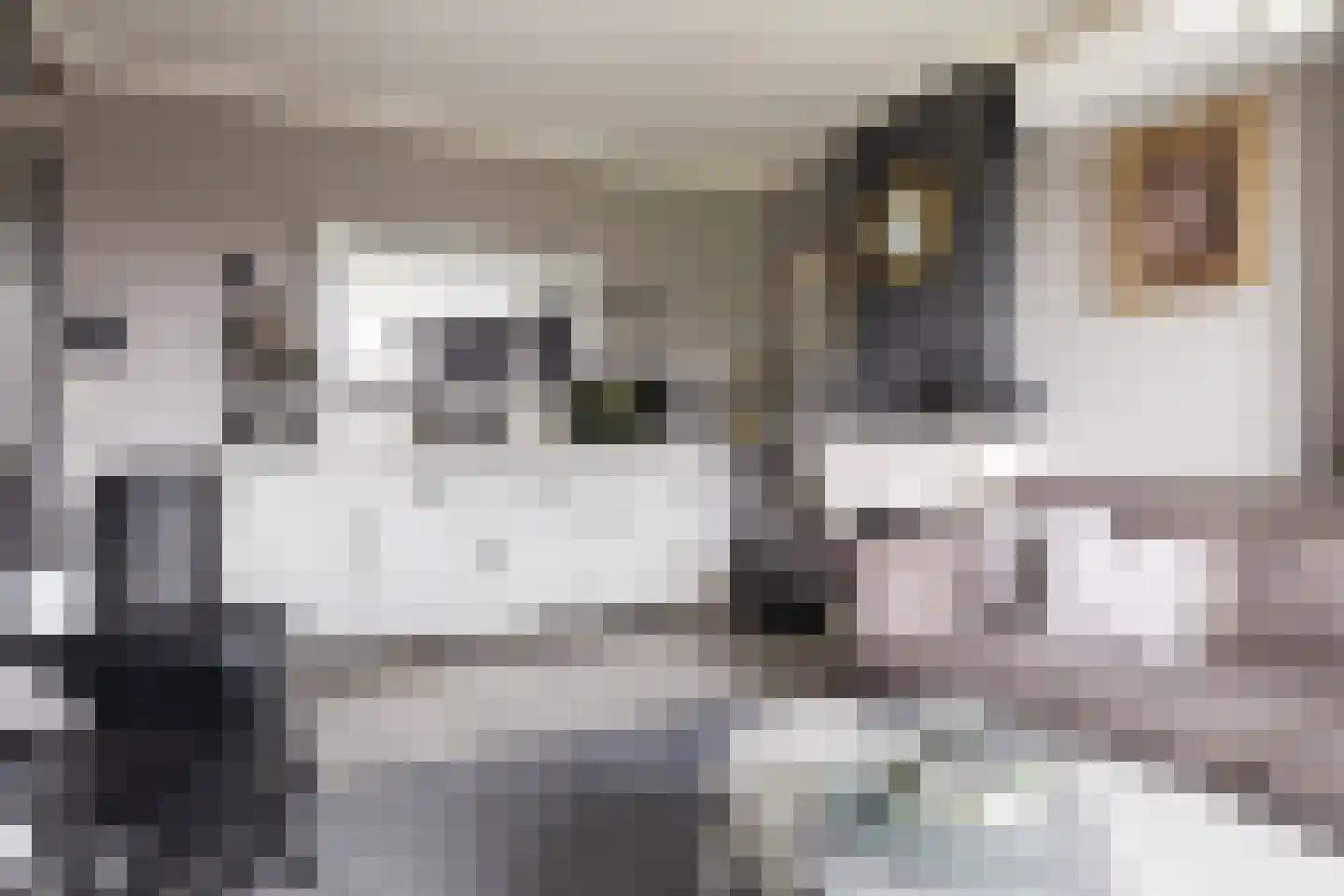 Troelstrastraat 7 Veenoord thumbnail 8