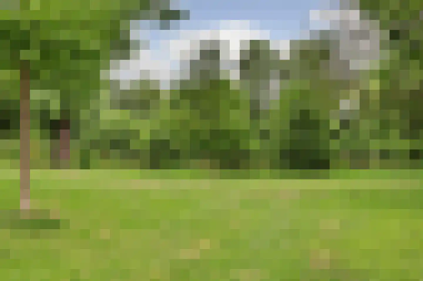 Troelstraweg 11 Dordrecht thumbnail 47