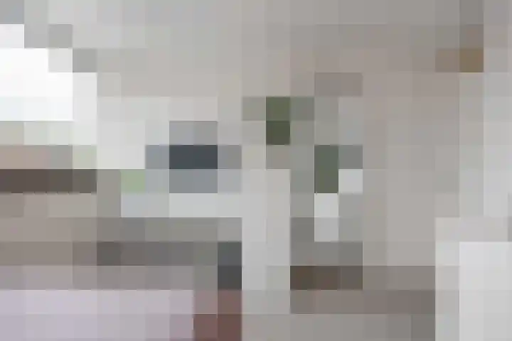 Troelstraweg 11 Zuidhorn thumbnail 24