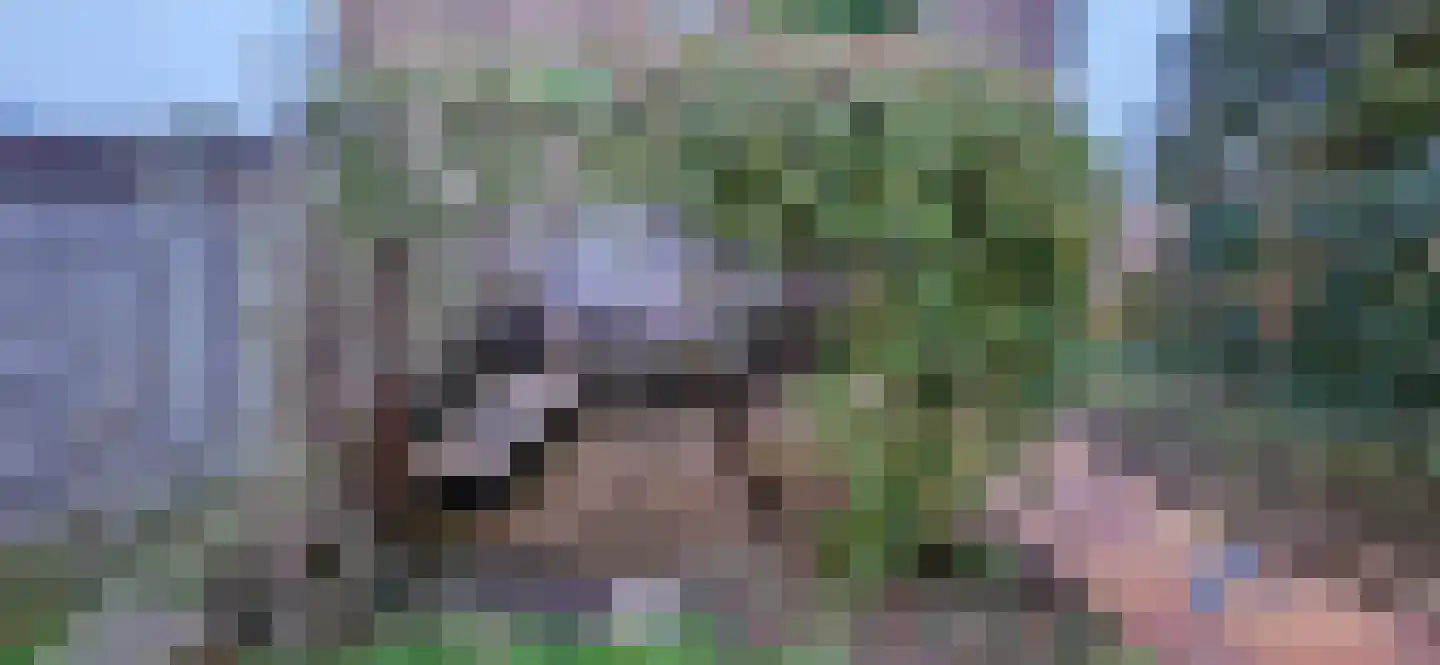 Troelstraweg 2 De Bilt thumbnail 39