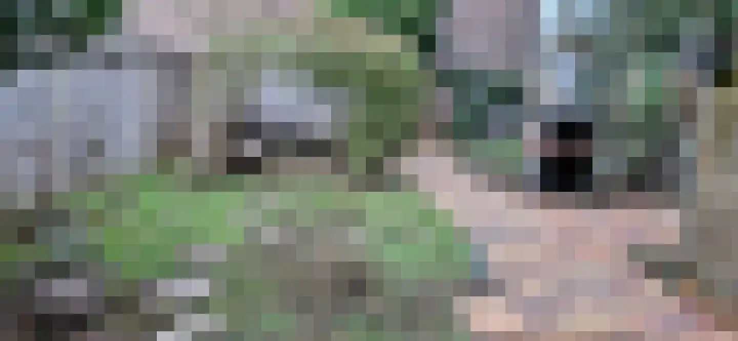 Troelstraweg 2 De Bilt thumbnail 41