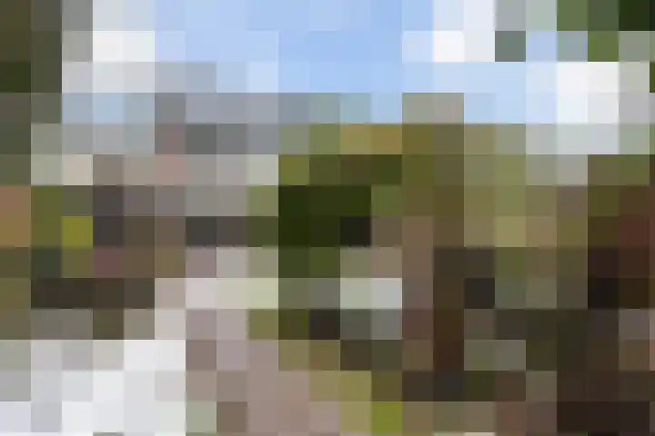 Troelstraweg 2 De Bilt thumbnail 5