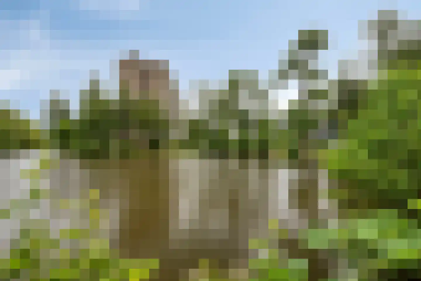 Troelstraweg 20 Dordrecht thumbnail 38