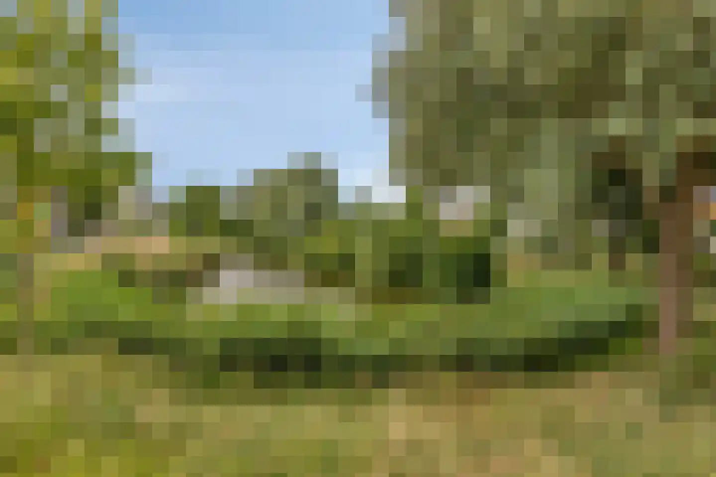 Troelstraweg 20 Dordrecht thumbnail 39