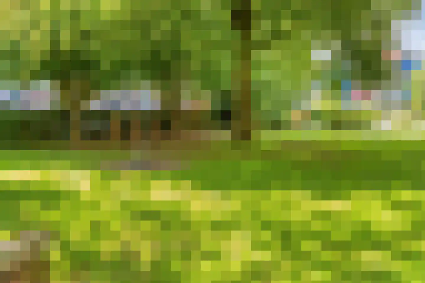 Troelstraweg 29 Wageningen thumbnail 26