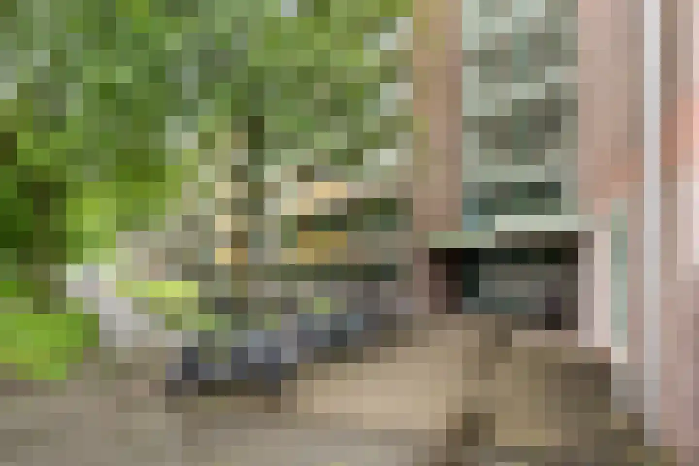 Troelstraweg 31 Wageningen thumbnail 9