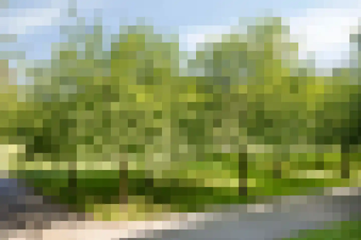 Troelstraweg 39 Wageningen thumbnail 10