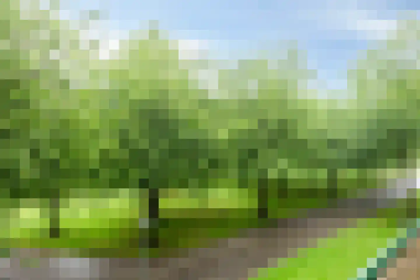 Troelstraweg 41 Wageningen thumbnail 13