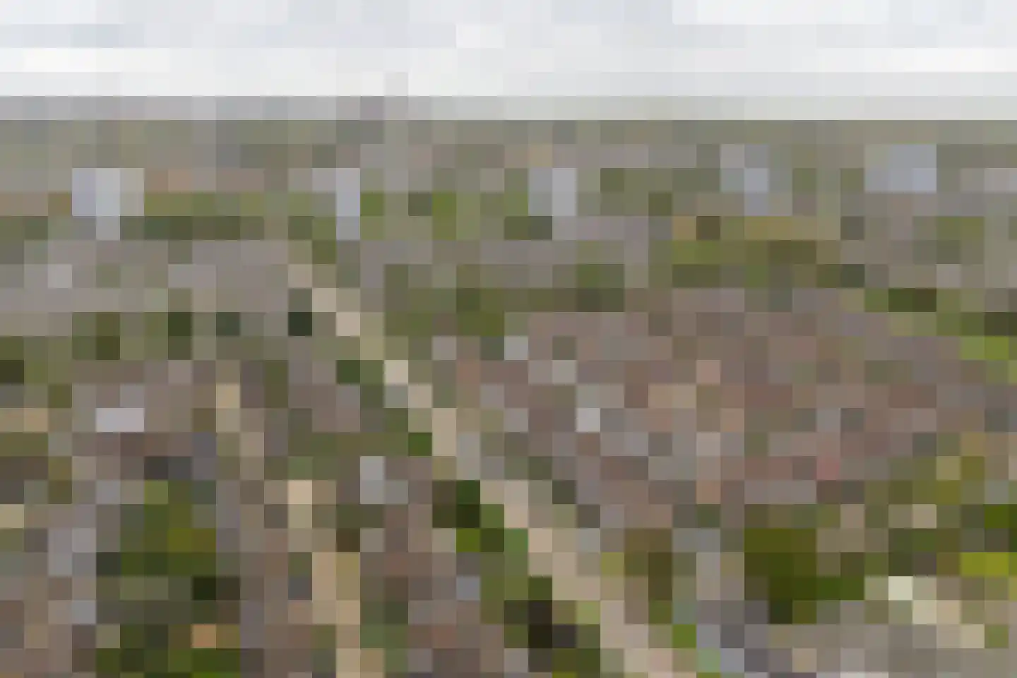 Troelstraweg 417 Vlissingen thumbnail 6