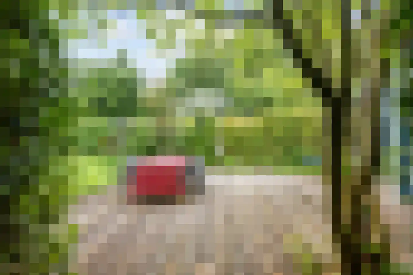 Troelstraweg 71 Zuidhorn thumbnail 32