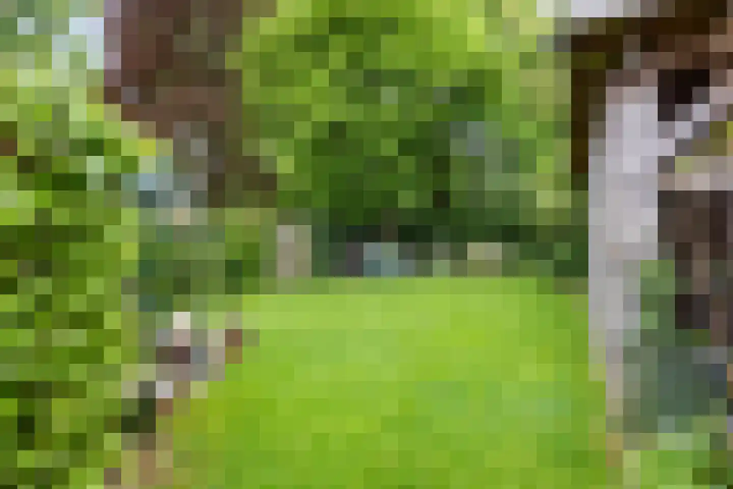 Troelstraweg 71 Zuidhorn thumbnail 37
