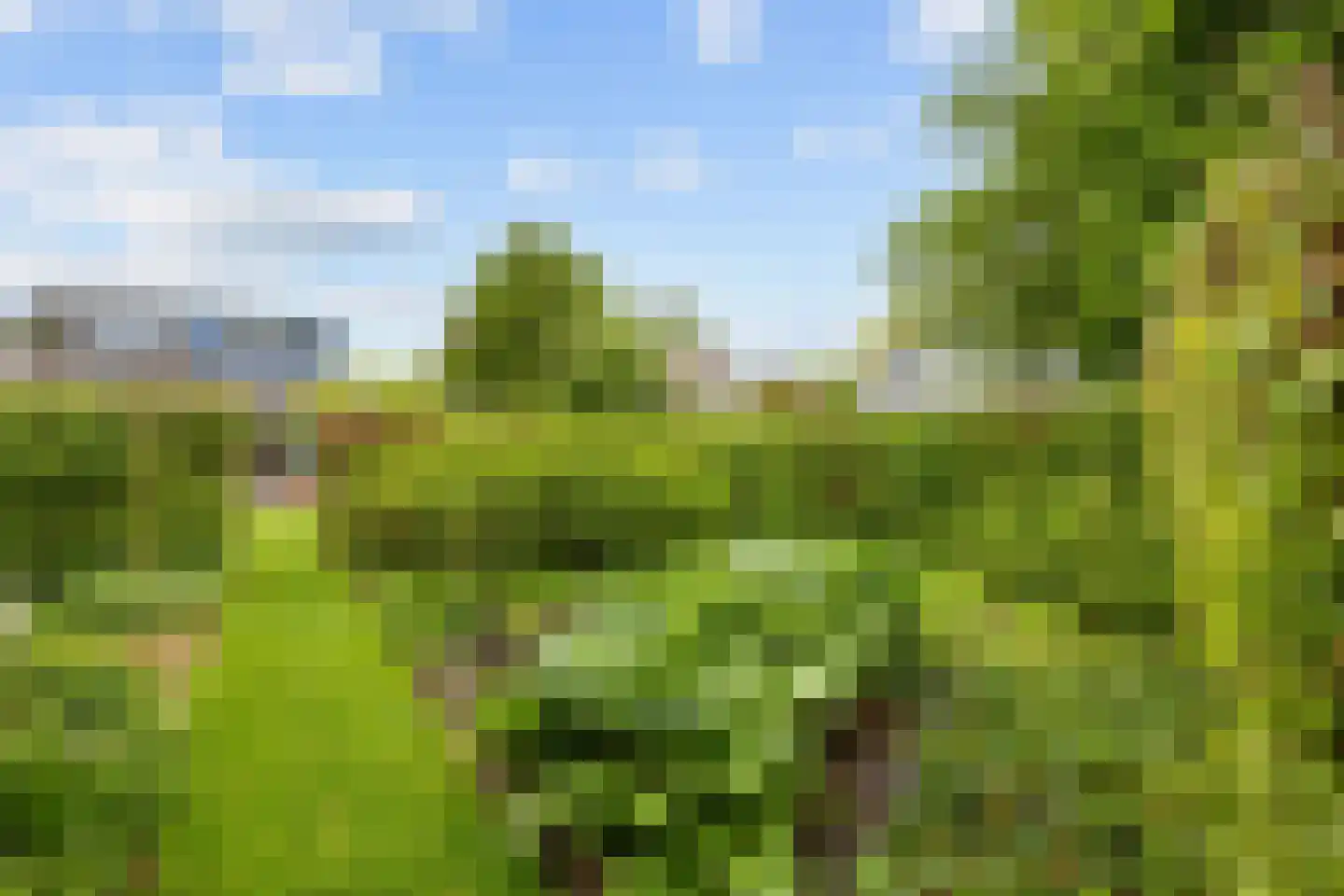 Troelstraweg 71 Zuidhorn thumbnail 41