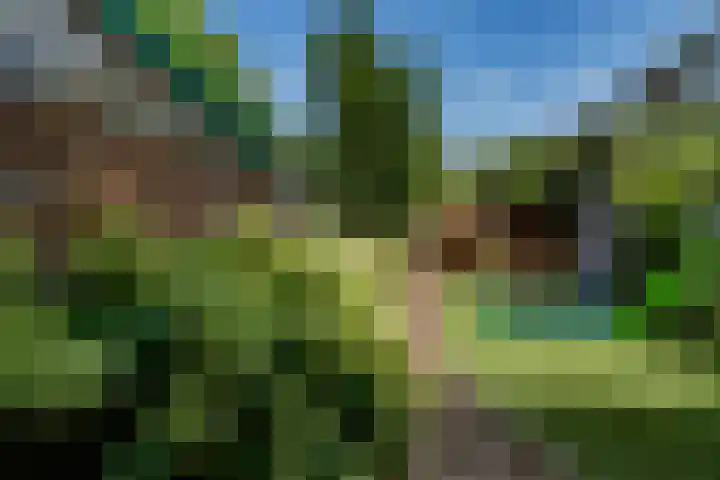 Troelstraweg 8 De Bilt thumbnail 29