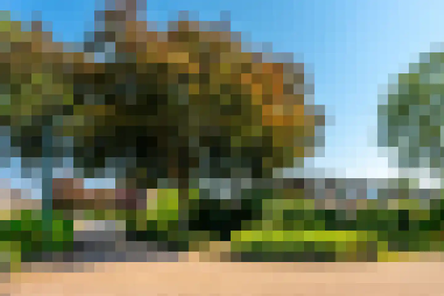 Troelstraweg 89 De Bilt thumbnail 34