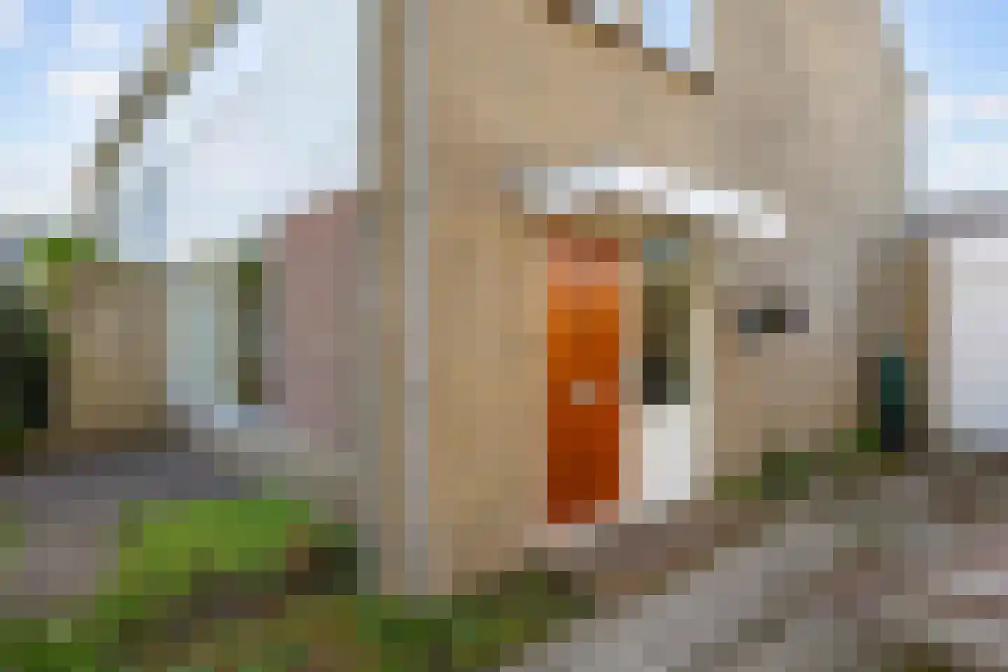 Troelstraweg 9 Zuidhorn thumbnail 7