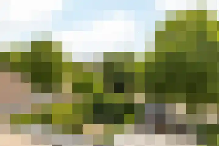 Troereberg 23 Landgraaf thumbnail 25