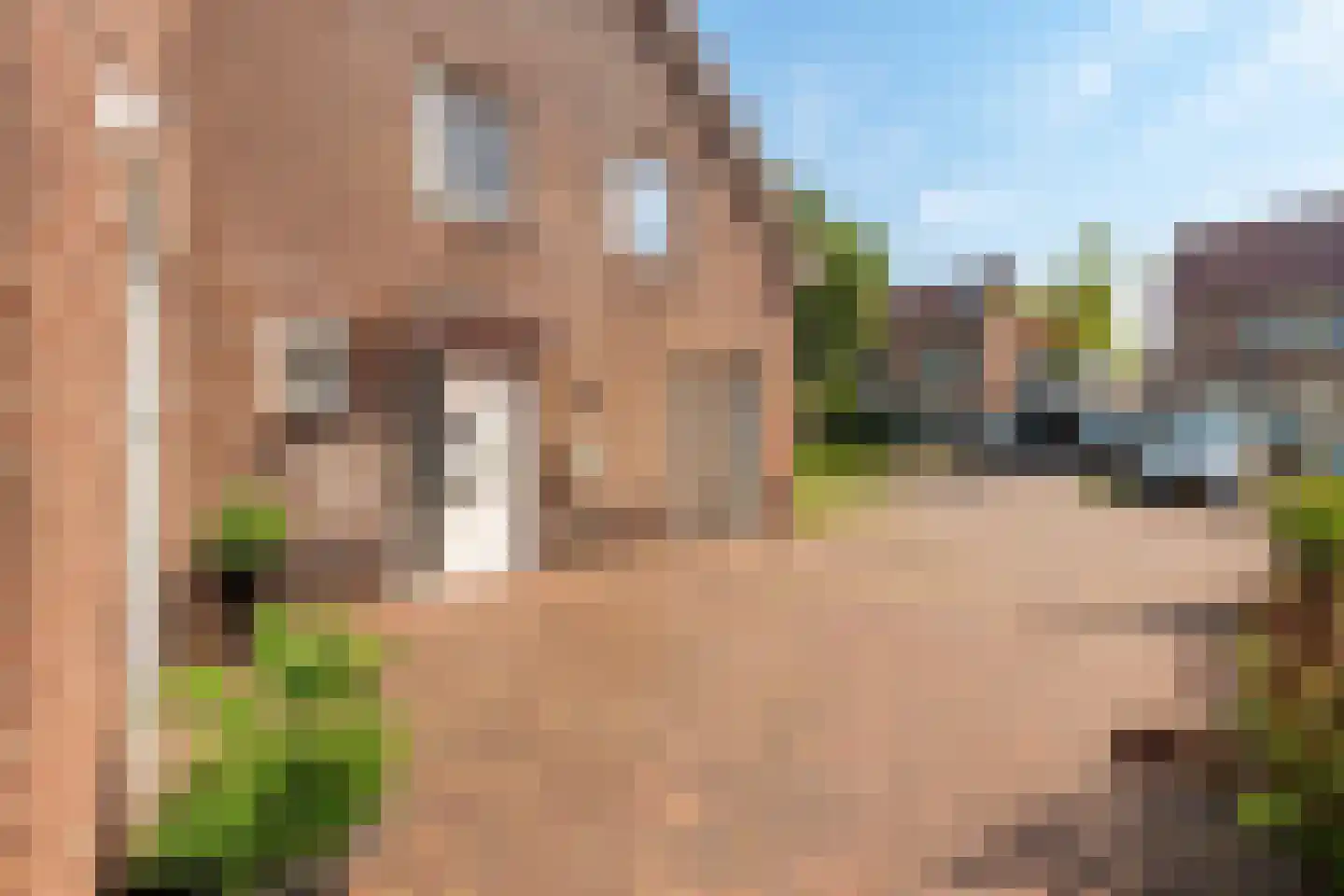 Troffel 20 Bovenkarspel thumbnail 11