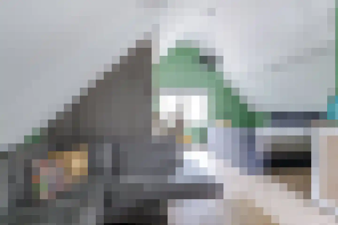 Troffel 20 Bovenkarspel thumbnail 60