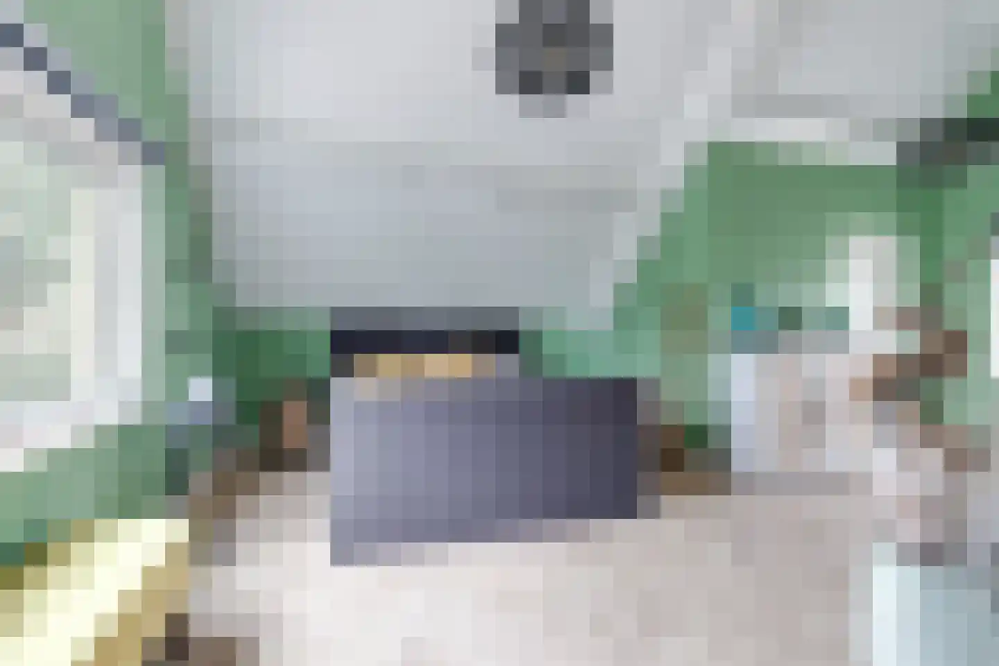 Troffel 20 Bovenkarspel thumbnail 63
