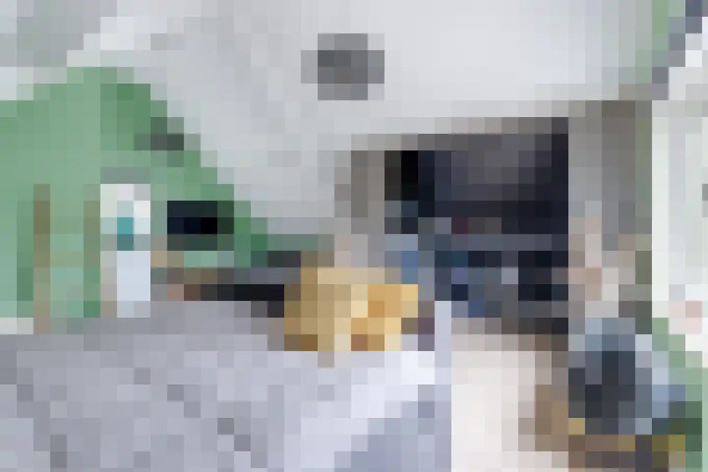 Troffel 20 Bovenkarspel thumbnail 64