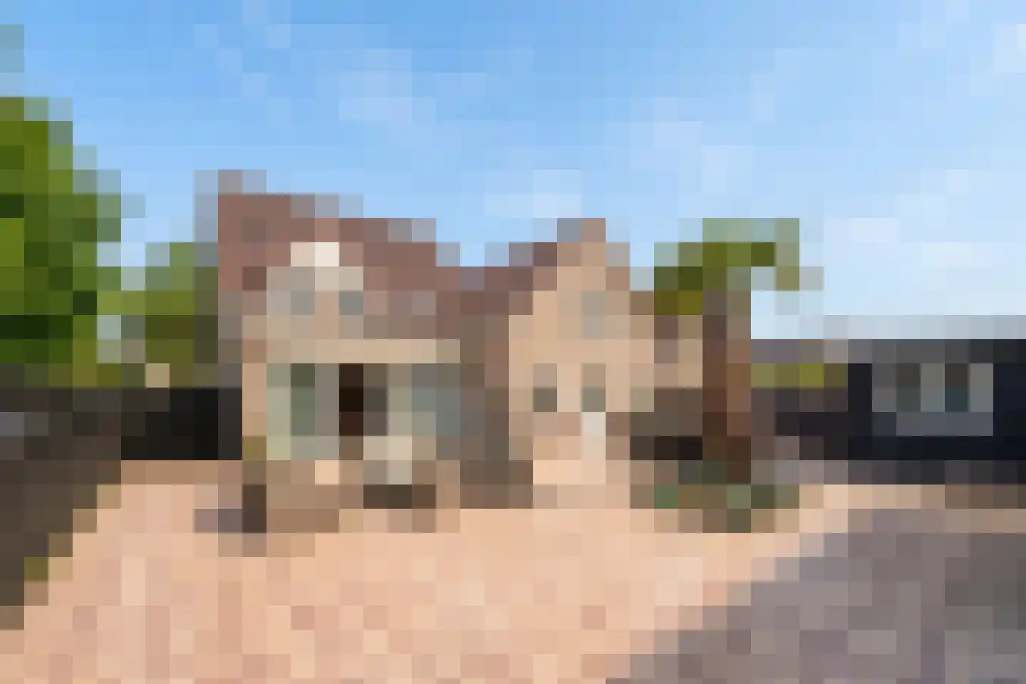 Troffel 20 Bovenkarspel thumbnail 7