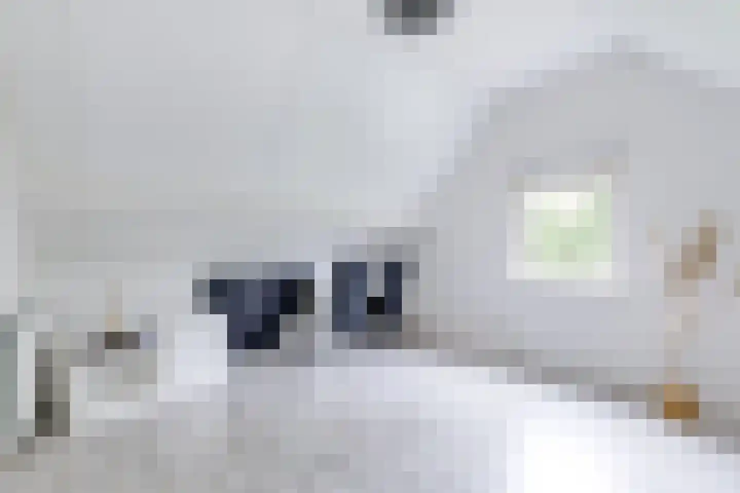 Troffel 20 Bovenkarspel thumbnail 71