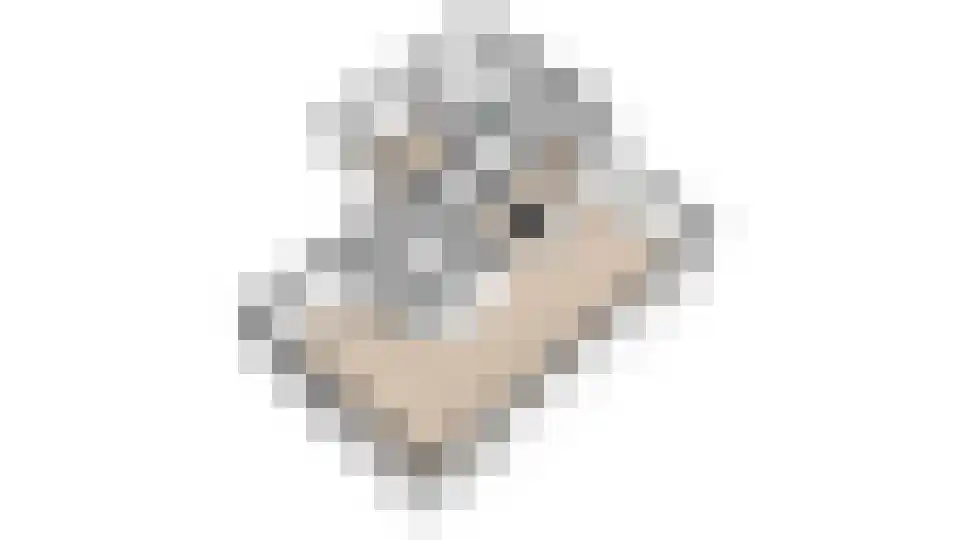 Troffel 20 Bovenkarspel thumbnail 81