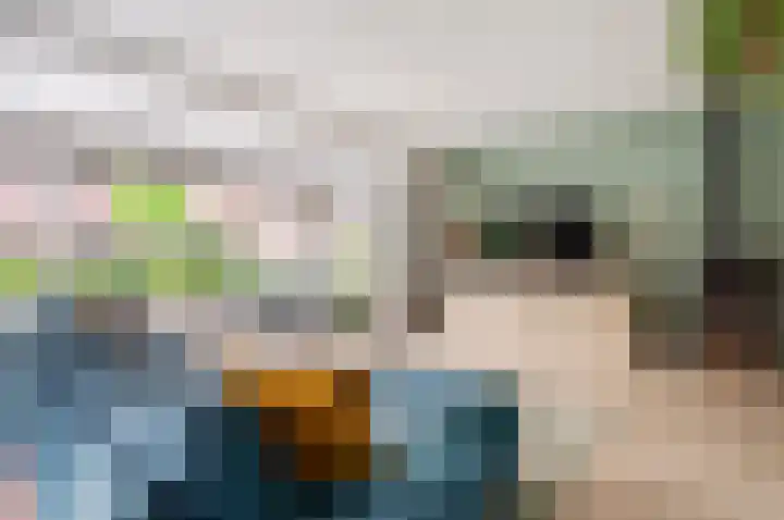 Troffel 20 Dronten thumbnail 10