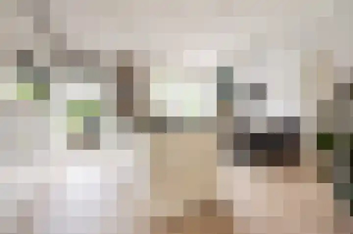 Troffel 20 Dronten thumbnail 17