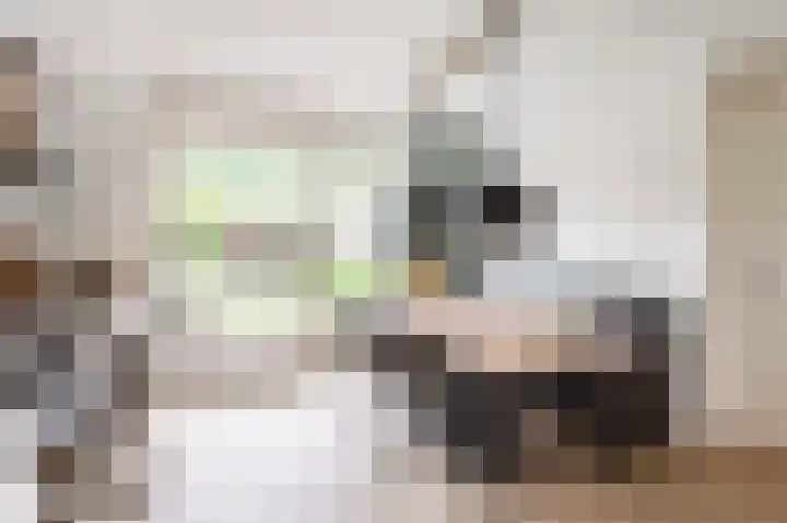 Troffel 20 Dronten thumbnail 18