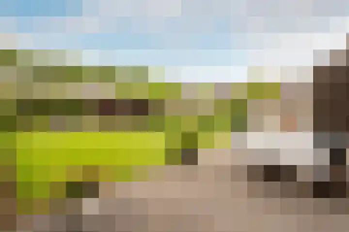 Troffel 20 Dronten thumbnail 4