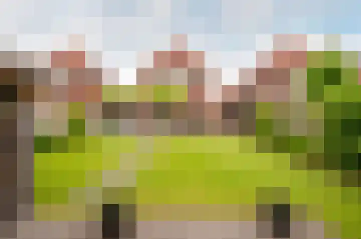 Troffel 20 Dronten thumbnail 51