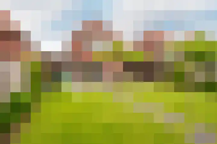 Troffel 20 Dronten thumbnail 52