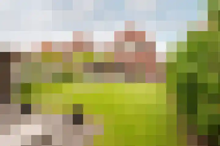 Troffel 20 Dronten thumbnail 53